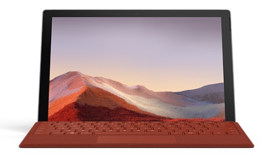 眉山清洁和维护 Surface